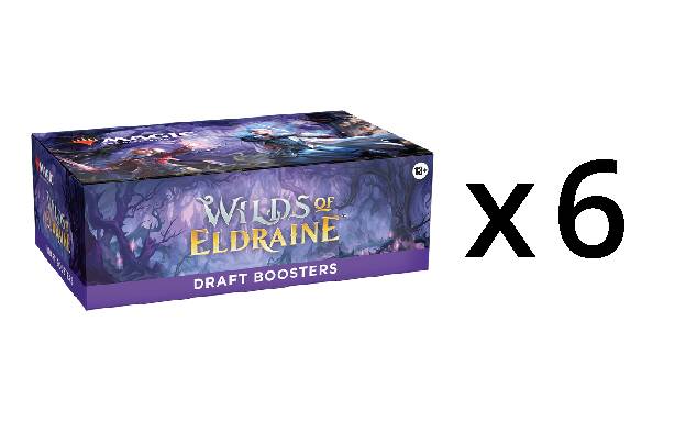 MTG Wilds of Eldraine DRAFT Booster CASE (6 DRAFT Booster Boxes)